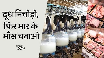 दूध निचोड़ो, फिर मार के माँस चबाओ || आचार्य प्रशांत के नीम लड्डू