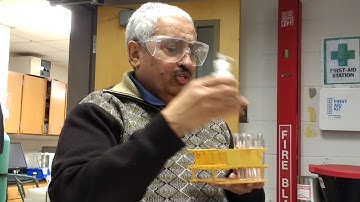 Experiment 10 pH, Salts and Buffer 1