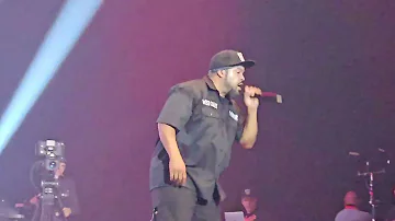 Ice Cube - You Can Do It Live @ziggo dome