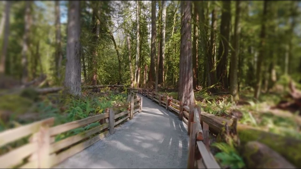 Marijuana Simulation (Low Tolerance + High Dose)