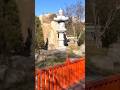 Кусочек Японии в Баку, которому завидуют японцы #shorts #япония #азербайджан #путешествия #тревел