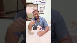 "Meniscus Injury: Causes &amp; Symptoms | घुटने की मिनिस्कस चोट क्या है?"