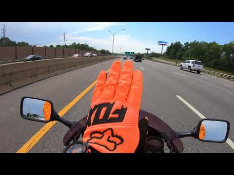 2020 Fox Dirt Paw Gloves