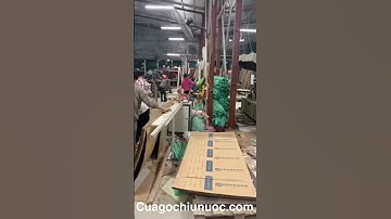 Nhà máy sản xuất cửa gỗ nhựa composite, cửa gỗ nhựa chịu nước lớn nhất Miền Bắc - G7 Kosdoor