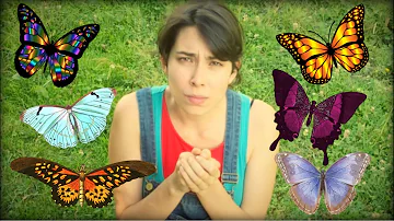 ¿Qué pasa si tocas una mariposa?