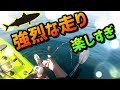 夢のような夏休み　King fishと激闘 カヤックフィッシング【釣行26-2】
