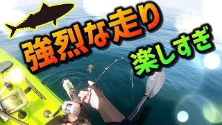夢のような夏休み　King fishと激闘 カヤックフィッシング【釣行26-2】