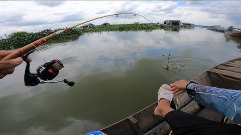 Chuyến đi câu tôm cuối tuần tại làng bè Bình Thạnh săn tôm càng đầy hấp dẫn