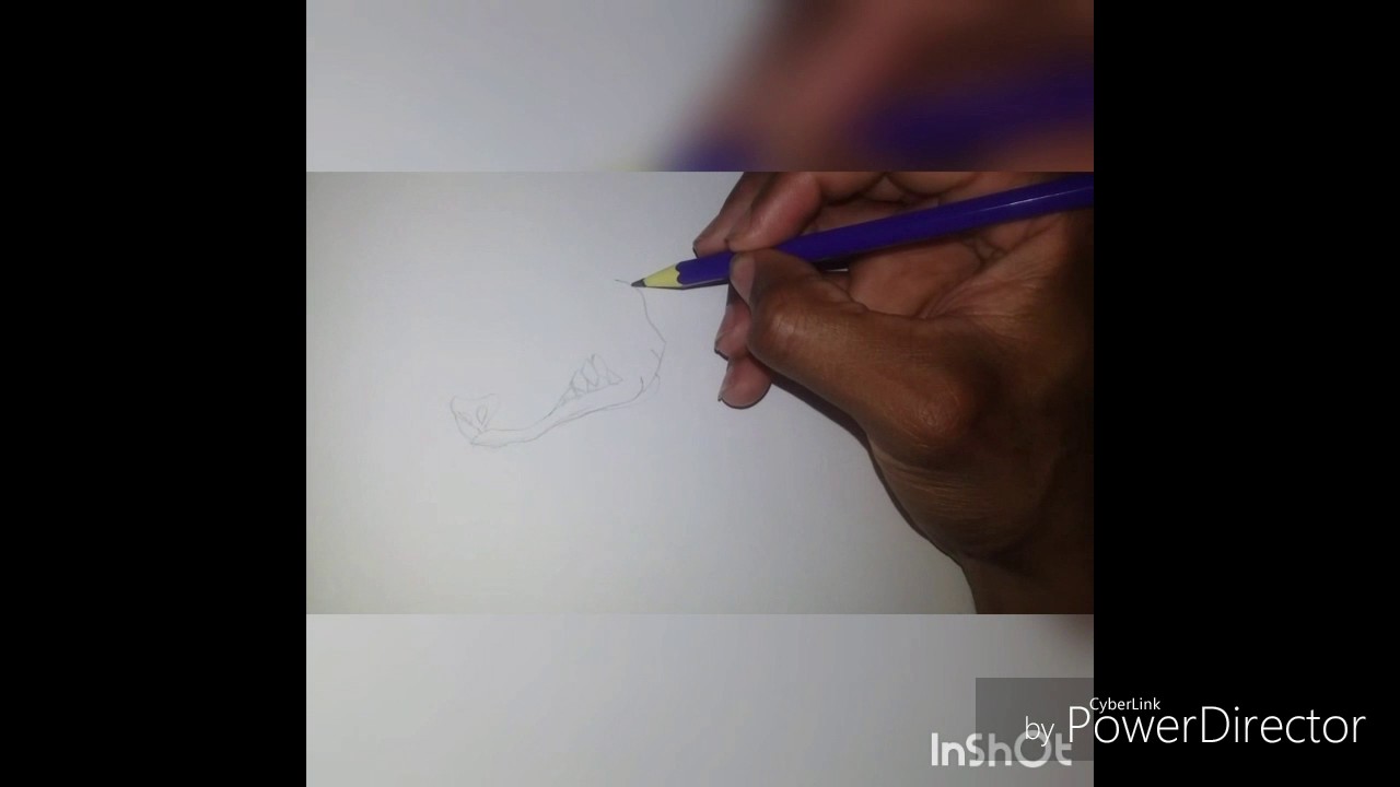 drawing MUSCLE DOG 