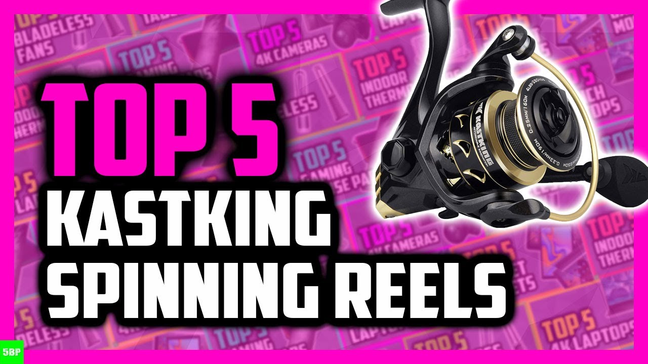 Best KastKing Spinning Reel in 2021 