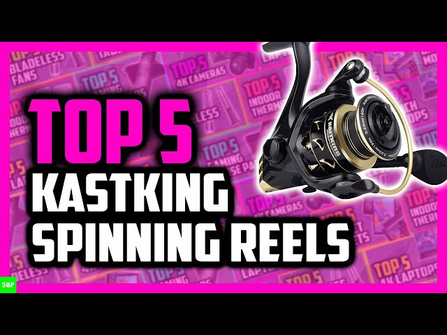 Best KastKing Spinning Reel in 2021 