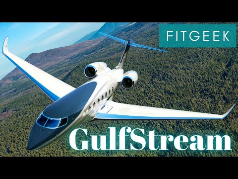 Video: Compañía de sistemas de seguridad de Gulfstream. Opiniones de los usuarios