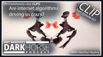 Are internet algorithms driving us crazy? : Clip From Episode #23 DarkHorse Podcast Livestream