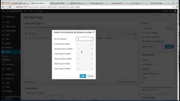 Perfect Premium WordPress Theme AccessPress Pro - Using Layout Shortcode | WordPress Tutorial