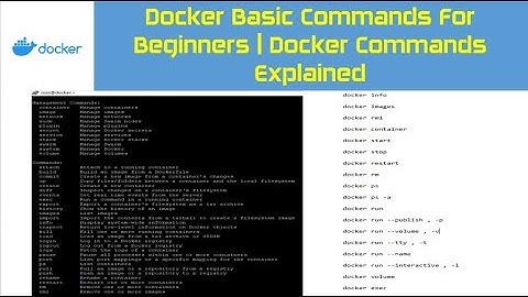 Docker Basic Commands For Beginners | Docker Commands Explained