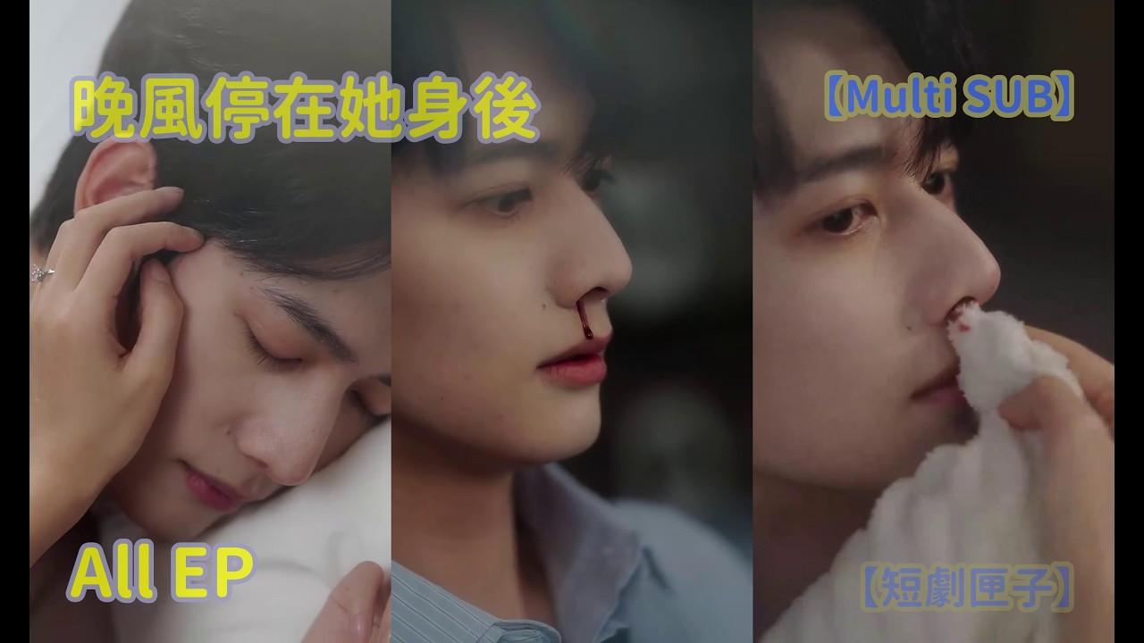 晚风停在她身后：狂婿逆袭都市
