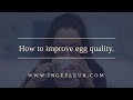 How to improve egg quality naturally