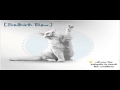 laperm cat breeders uk の動画、YouTube動画。