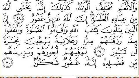 سورة فاطر للقاري الشيخ عبدالرحمن السديس مكتوبه