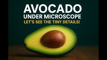 Avocado Under the Microscope! 🥑🔬 Hidden World of Fruits