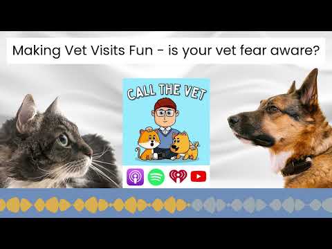 Making Vet Visits Fun - is your vet fear aware?