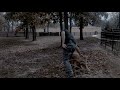 Randy Houser - What Whiskey Does (Cut x Cut)