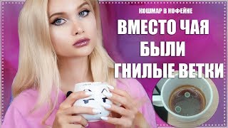 ПРИНЕСЛИ ГНИЛОЙ ЧАЙ В КОФЕЙНЕ | Лисса