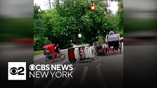 Horse carriage rides in Central Park suspended after tourist death