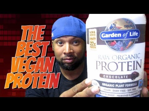The Best Vegan Protein Garden Of Life Chocolate Chocolate Raw