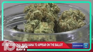 Florida voters will be able to vote on the legality of recreational marijuana on the November ballot