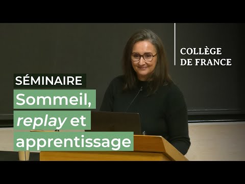 Sommeil, replay et apprentissage (3) - Stanislas Dehaene (2024-2025)