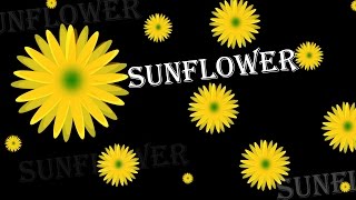 Famous How to create Sunflower In Photoshop - Easy Step By Steps Tutorial Net Worth