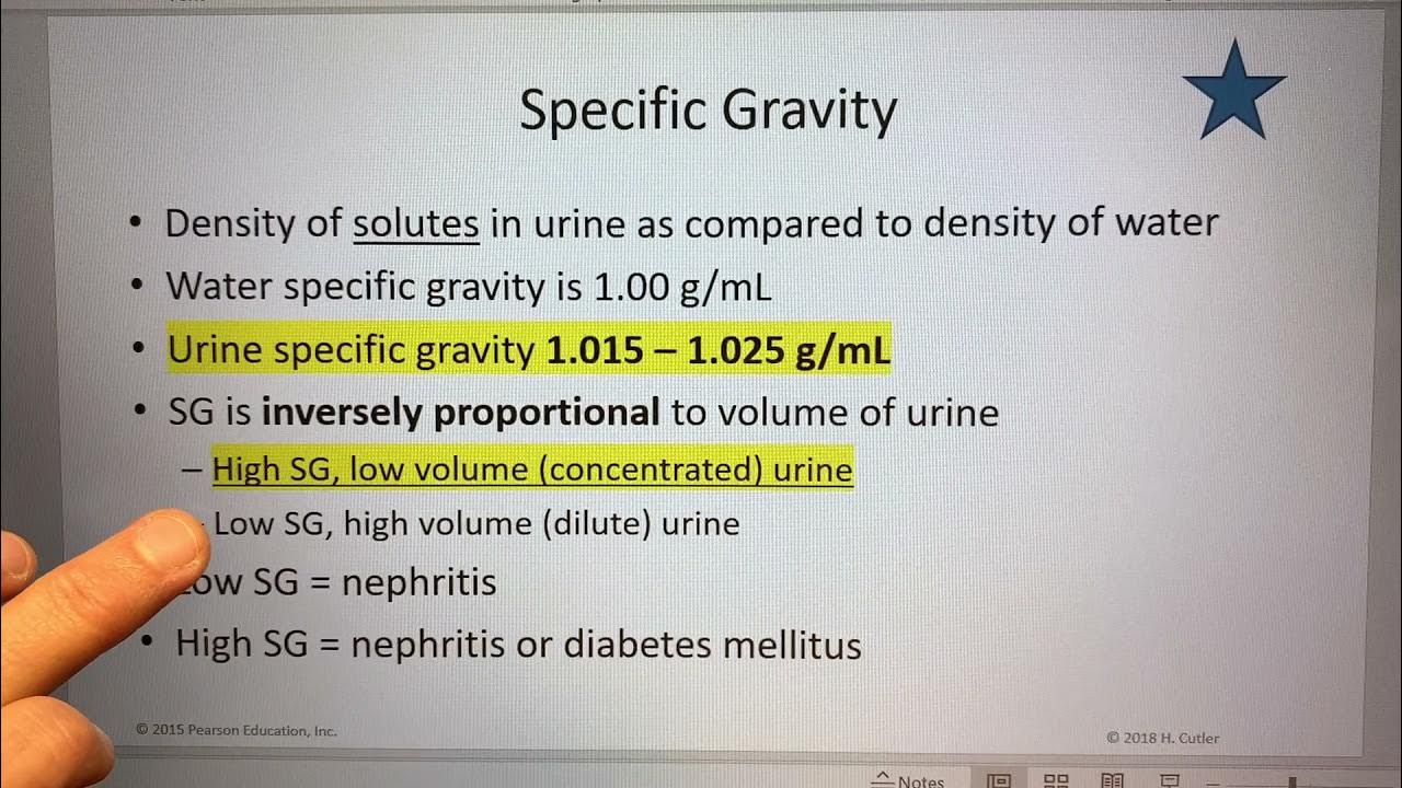 4 specific gravity urinalysis sp20 hc youtube