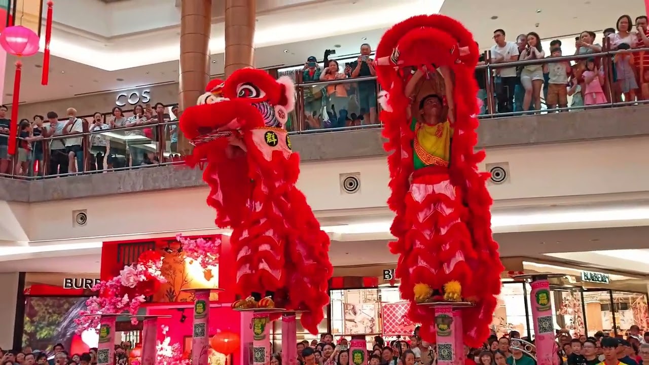 An exhilarating acrobatic lion dance showcasing flawless timing, strength, and controlled artistry