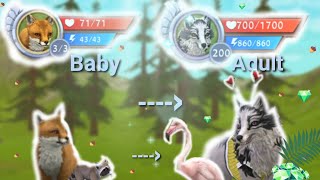 Wildcraft From baby fox to level 200 ( 30k special)