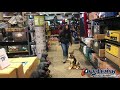 Maine Dog Trainers | 5 Month German Shepherd Puppy | Amazing Obedience Maine Dog Trainers | 5 Month German Shepherd Puppy | Amazing Obedience
