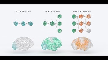 Studying the brain to build AI that processes language as people do