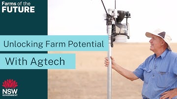 The Certainty of Data - Bolstering instincts with insights