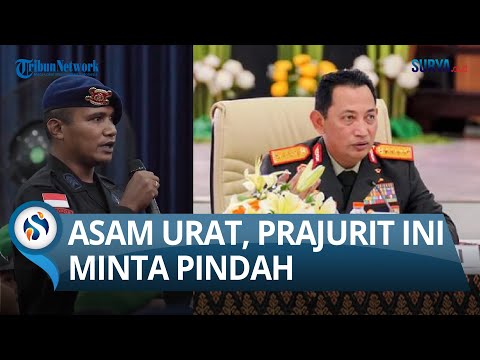 Video: Interior Tahun Baru: Tradisi Timur membantu kami