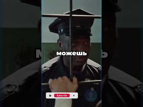 Один говорит правду. Другой — нет. Угадай! #Загадка #Интерактив #Выбор #Shorts #shortvideo #iqcheck