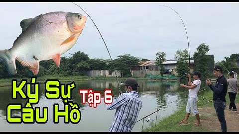 Câu giải cá chim | Mồi câu cá chim cực kỳ đơn giản | Ký Sự Câu Hồ Tập 6 | Thích trải nghiệm channel