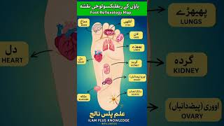 🦶 Foot Reflexology Map in Urdu | Body Pressure Points Explained