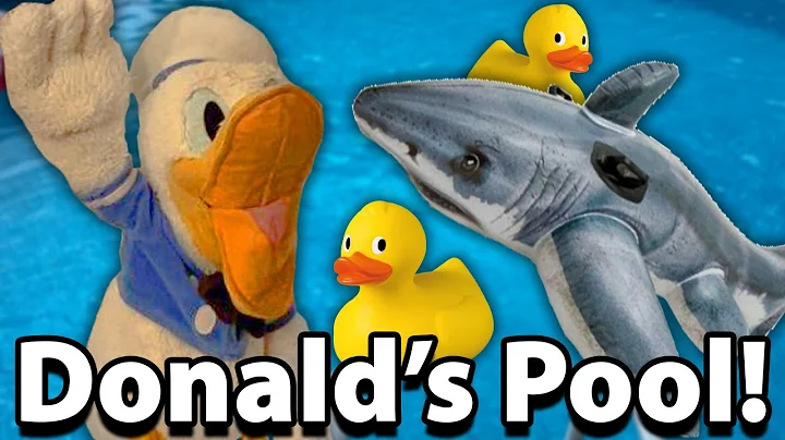 Donald's Pool!