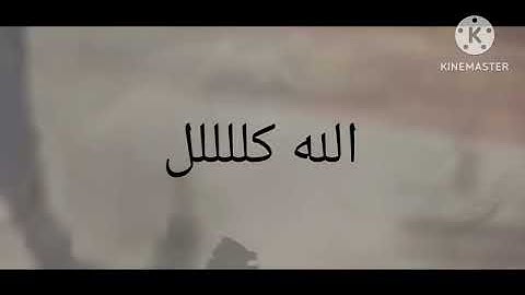 (FLASHING WARNING!)Omaj Films 97 Years (1939-2025)