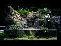 PALUDARIUM Rainforest Experience - REAL WATERFALL and Monumental Hardscape