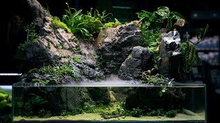 PALUDARIUM Rainforest Experience  REAL WATERFALL and Monumental Hardscape