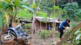 Day 15 of living in the mountains: Making a living, raising ducks, grinding rice, storing firewood