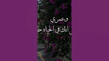 ١٠٠ احساس وائل جسار 