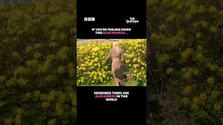 Alexander Lands In Bush - Bbc