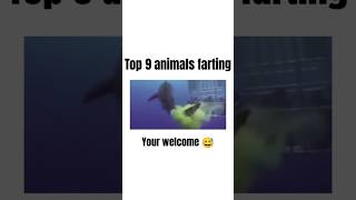 ?farting fail ??   memes wtf  fannyvideo viral shorts